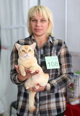 �������� ����� 22-23 ������ 2014, ������������ ��� 169A7919 copy.jpg